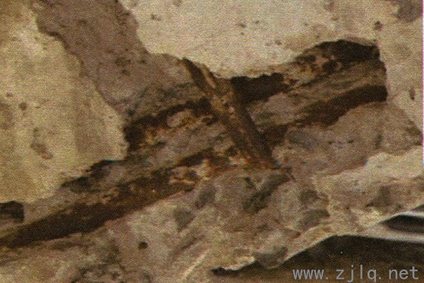 下玄桿開(kāi)裂露筋（http://www.gyjrwz.cn/）